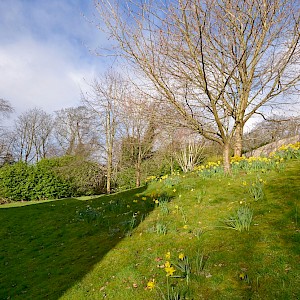 44 Rosethorn Wynd, Dunfermline, KY12 7YN