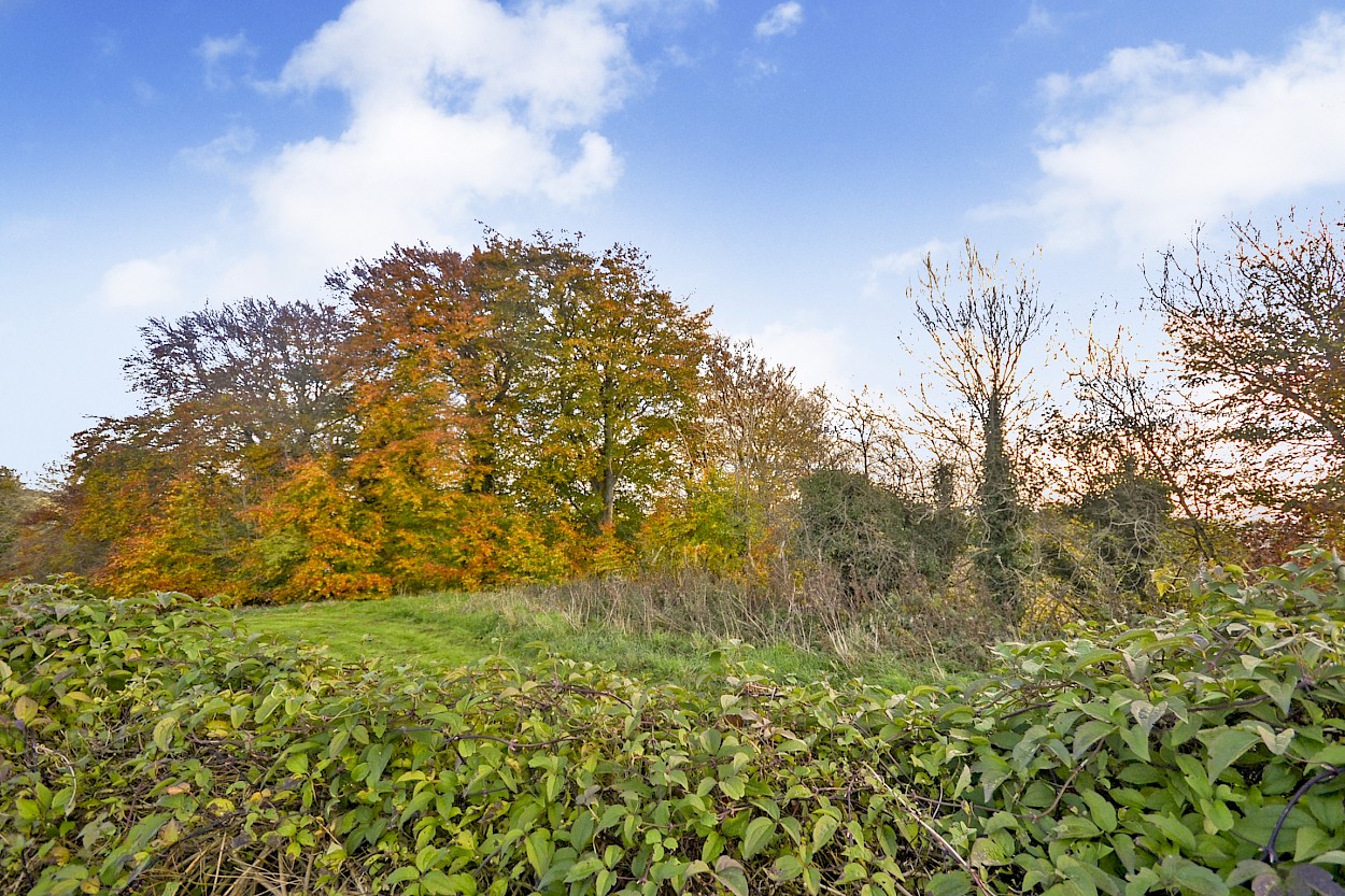 31 Glenfield Road, Cowdenbeath, KY4 9EP