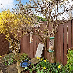 23 Coldingham Place