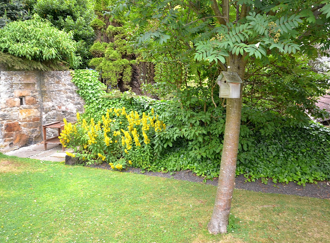 15 Halketts Hall, Limekilns, KY11 3HJ