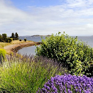 3 West Wing, Donibristle House, Dalgety Bay, KY11 9DG