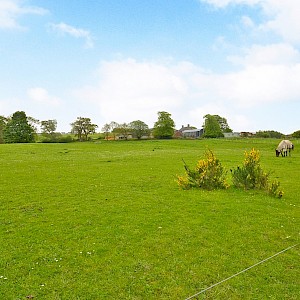 5 Braigh Gardens, Dunfermline, KY12 9BH