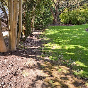 PLOT 1 Comely Park, Dunfermline, KY12 7HU