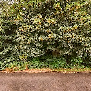 90 Glencoul Avenue, Dalgety Bay, KY11 9XL