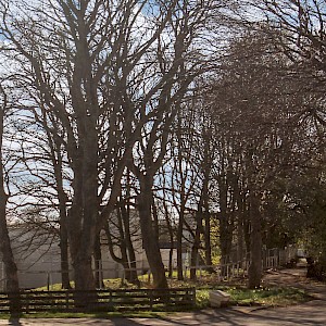 12 Birrell Drive, Dunfermline, KY11 8DN